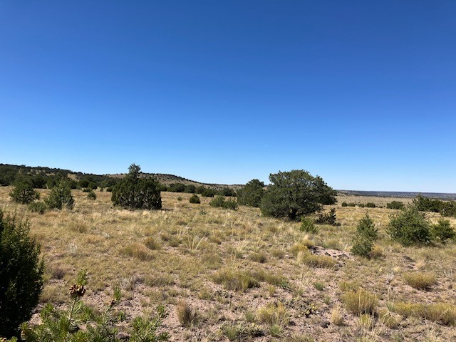 Lots 2&5 78.36 acres