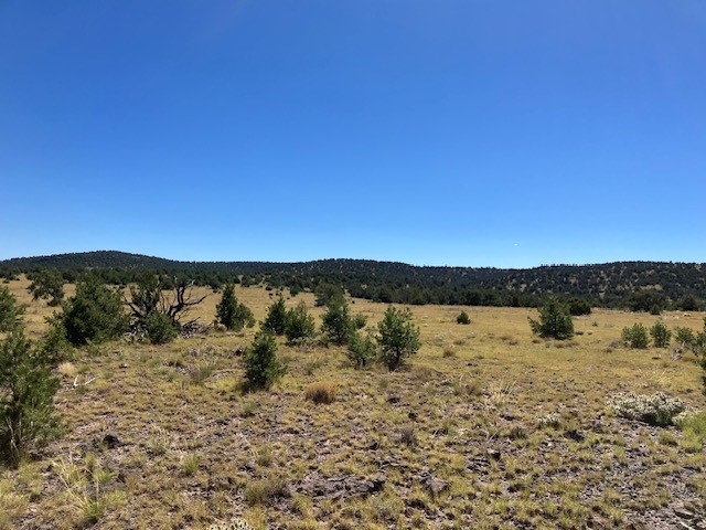 Lots 2&5 78.36 acres