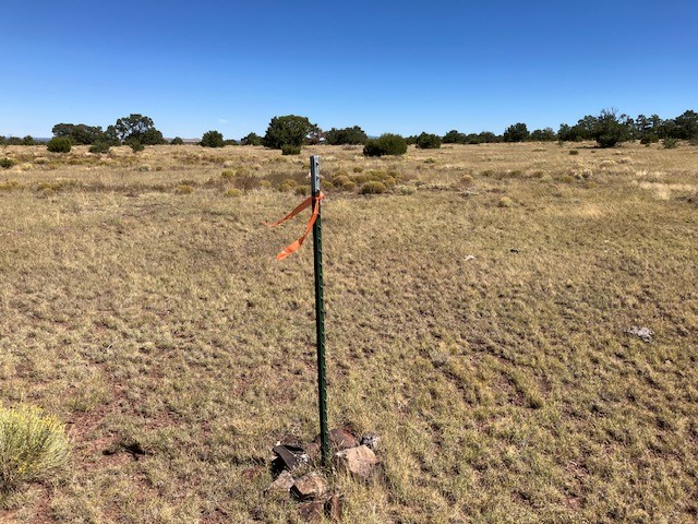 Lots 2&5 78.36 acres
