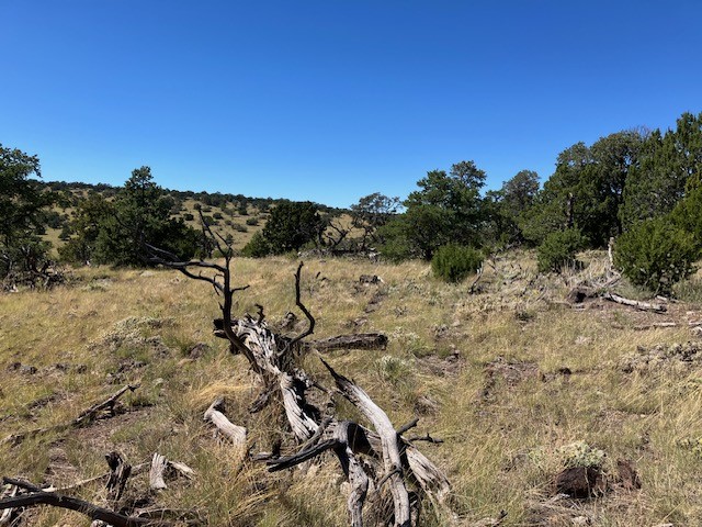 Lots 2&5 78.36 acres