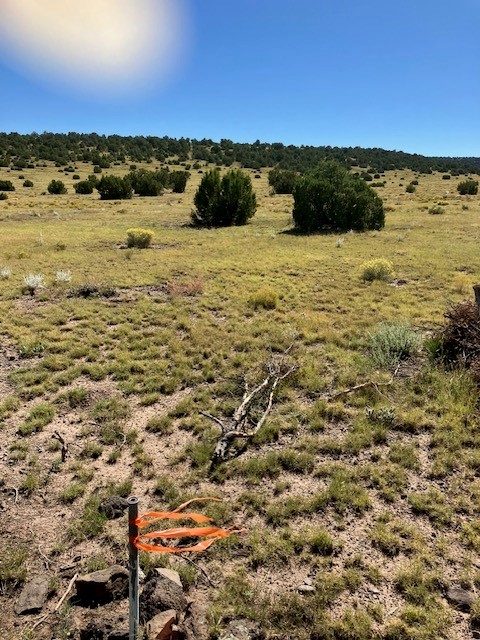 Lots 2&5 78.36 acres