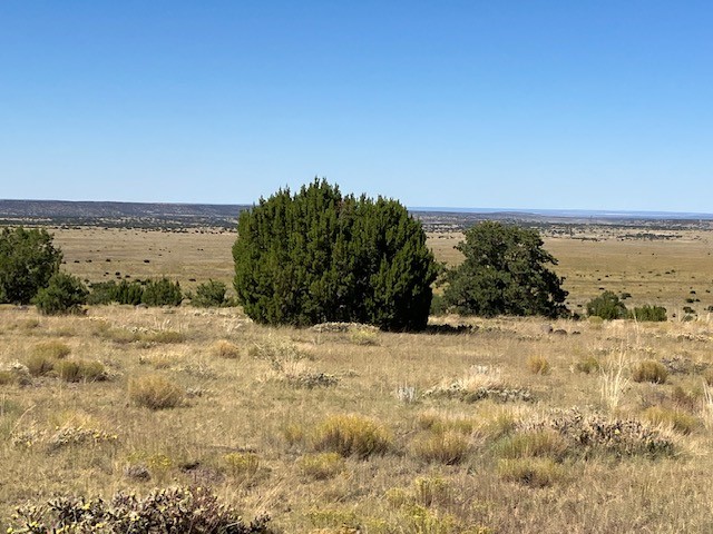 Lots 2&5 78.36 acres