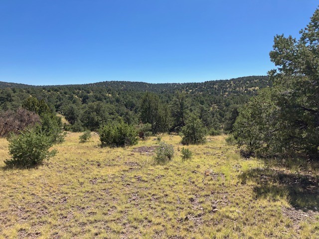 Lots 2&5 78.36 acres