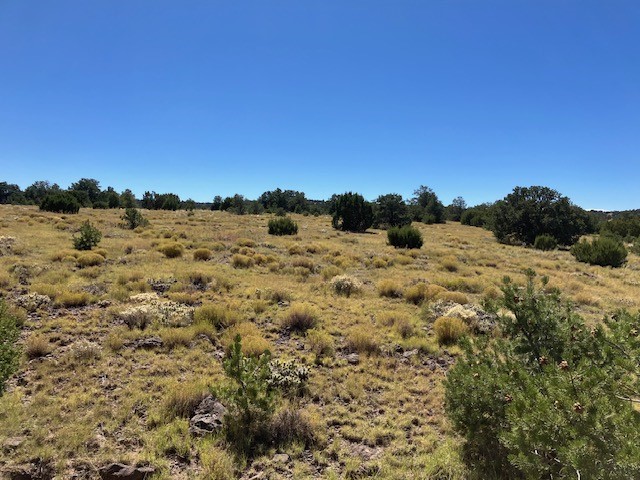 Lots 2&5 78.36 acres