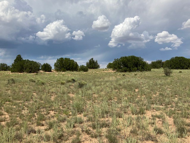 Lot 3 Private Drive 1613B