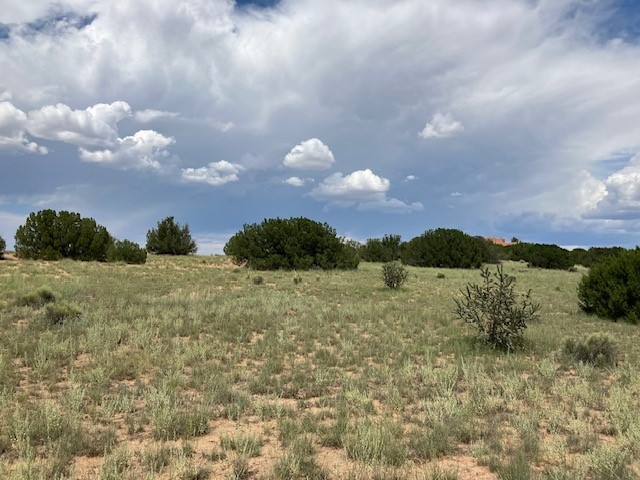 Lot 3 Private Drive 1613B