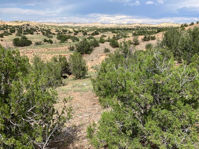 Lot 3 Private Drive 1613B