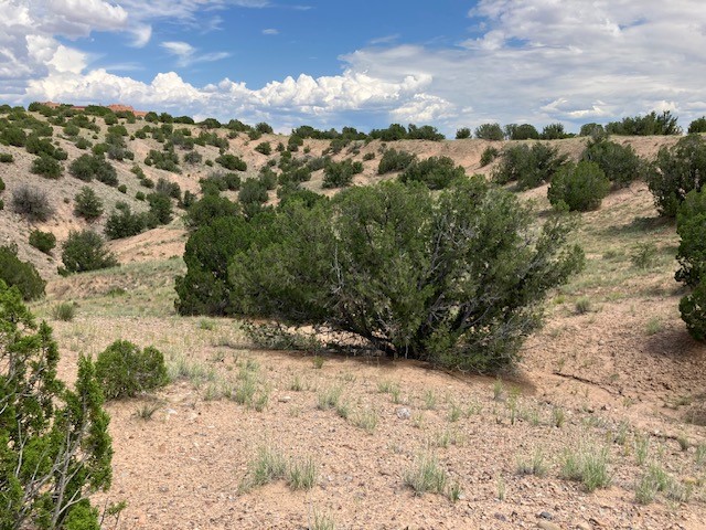 Lot 3 Private Drive 1613B
