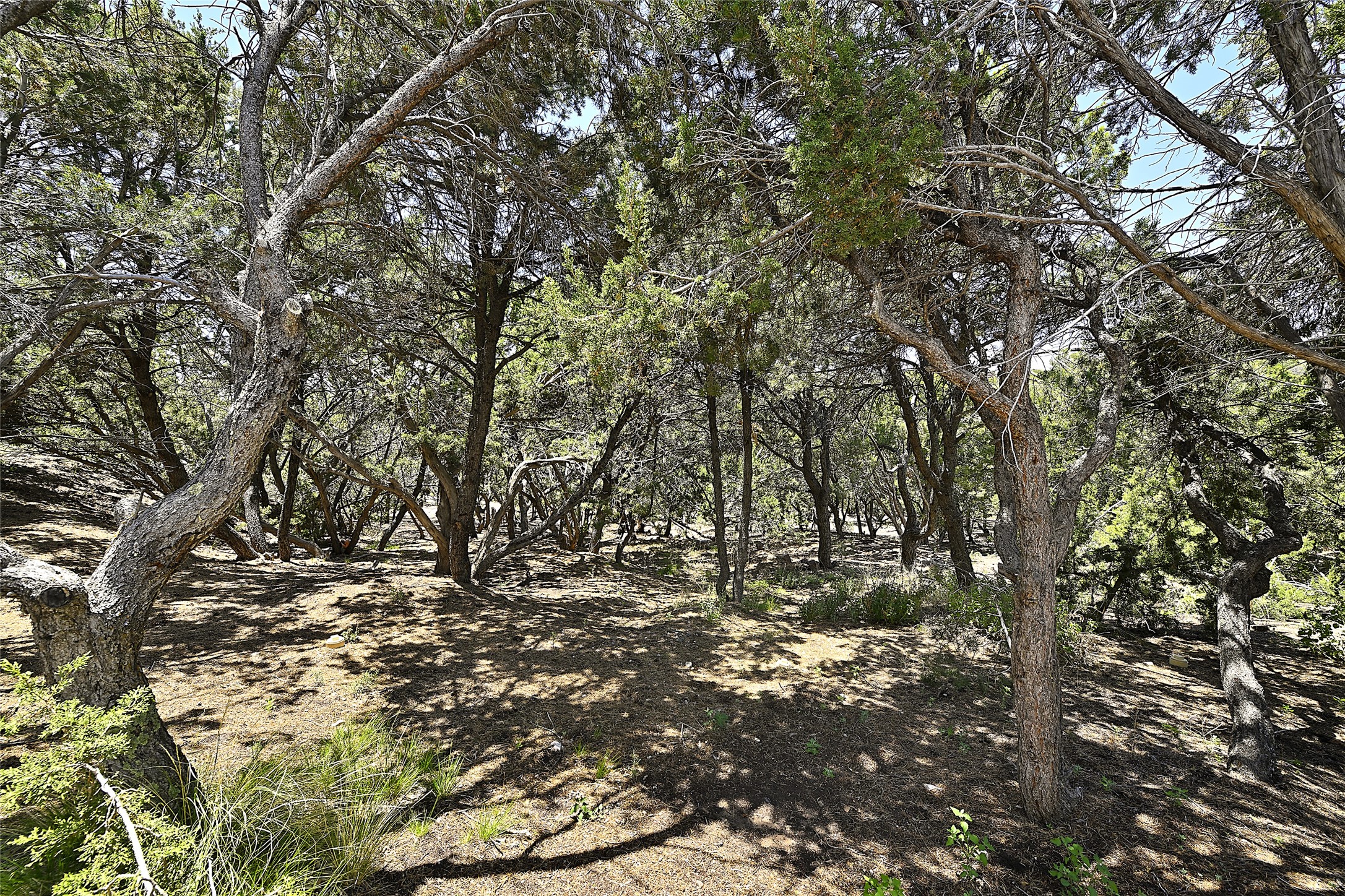 101 Barranca Road