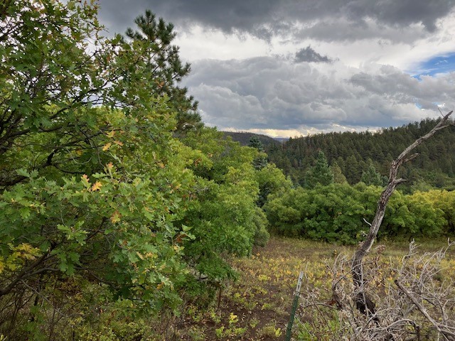 Tract 1 La Sierra Road