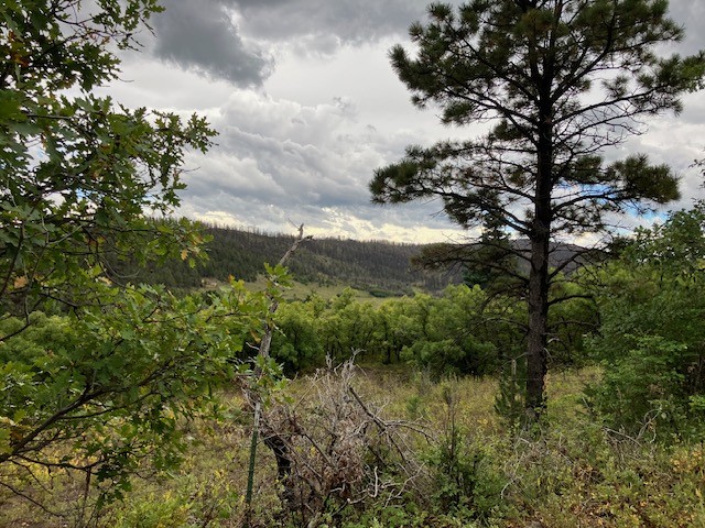 Tract 1 La Sierra Road
