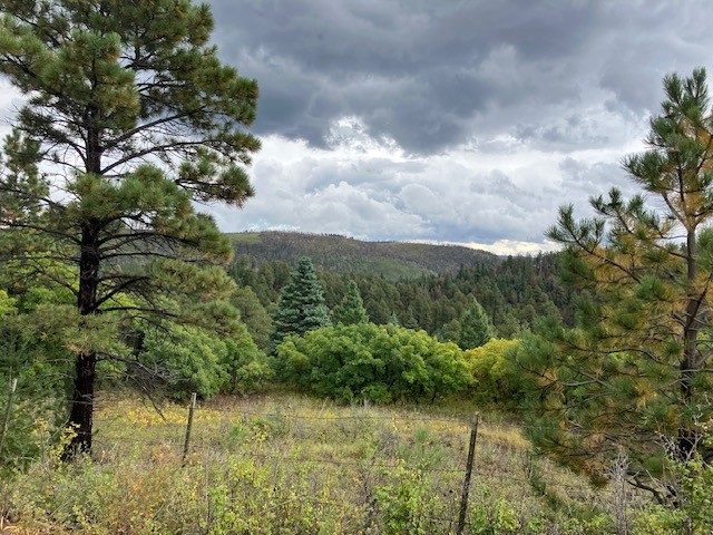 Tract 1 La Sierra Road
