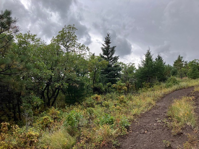 Tract 1 La Sierra Road