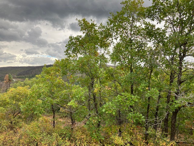 Tract 1 La Sierra Road