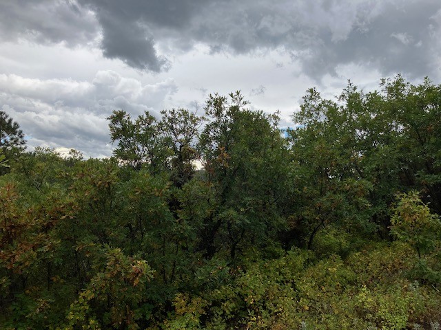 Tract 1 La Sierra Road