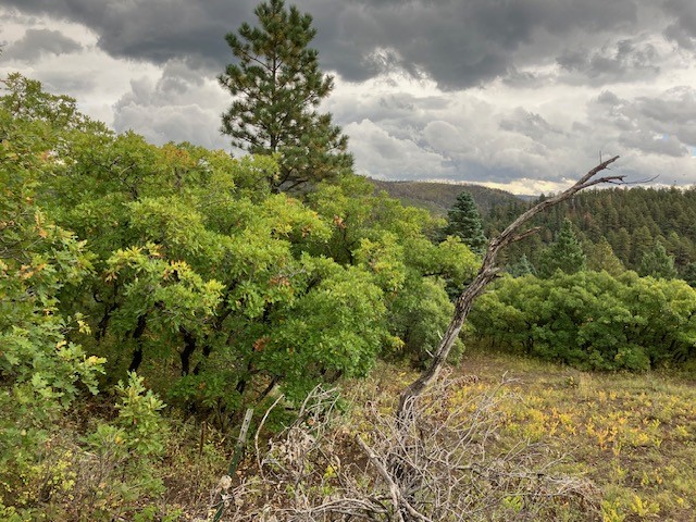 Tract 1 La Sierra Road