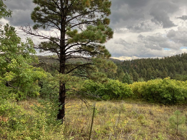 Tract 1 La Sierra Road
