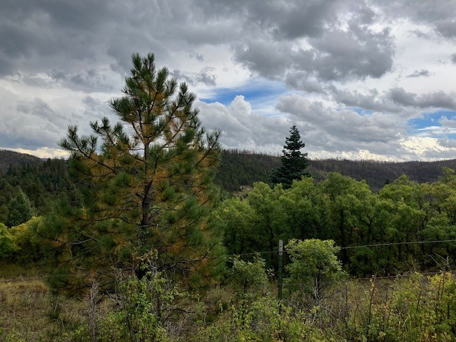 Tract 1 La Sierra Road