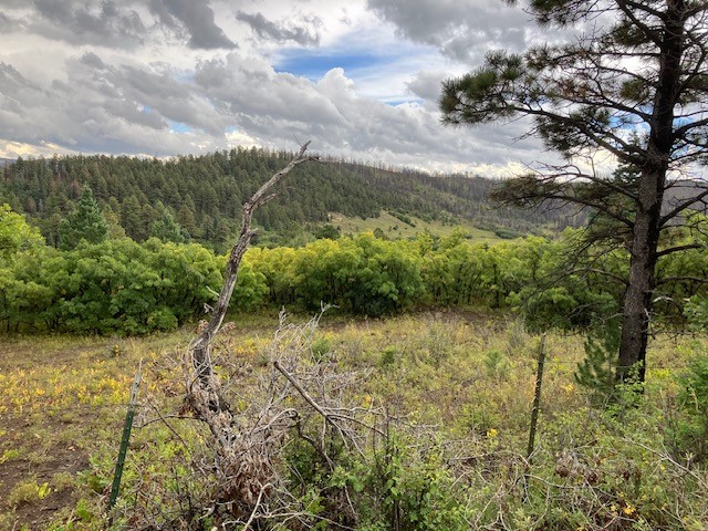 Tract 1 La Sierra Road