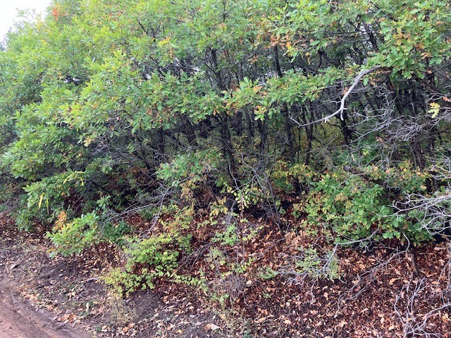 Tract 1 La Sierra Road
