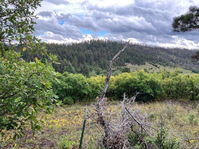 Tract 1 La Sierra Road