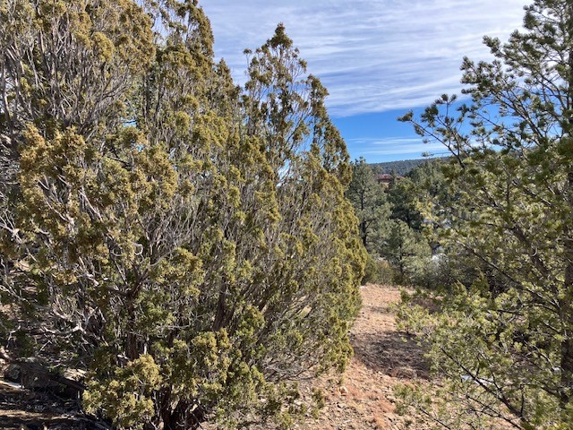 4 Romeroville Frontage Road