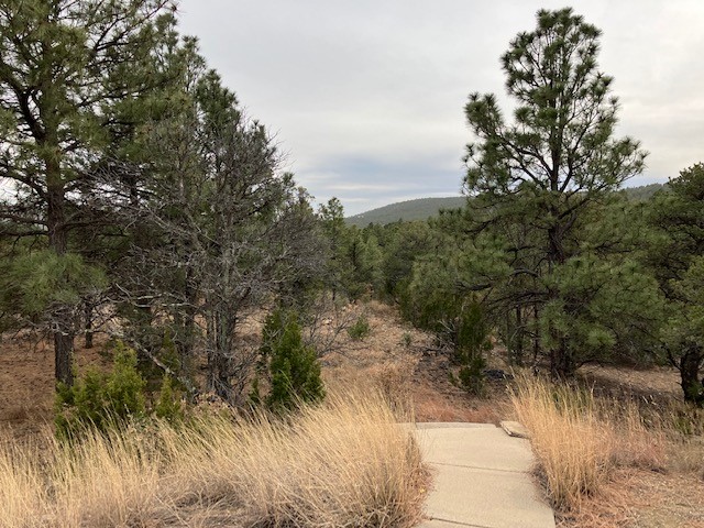 4 Romeroville Frontage Road