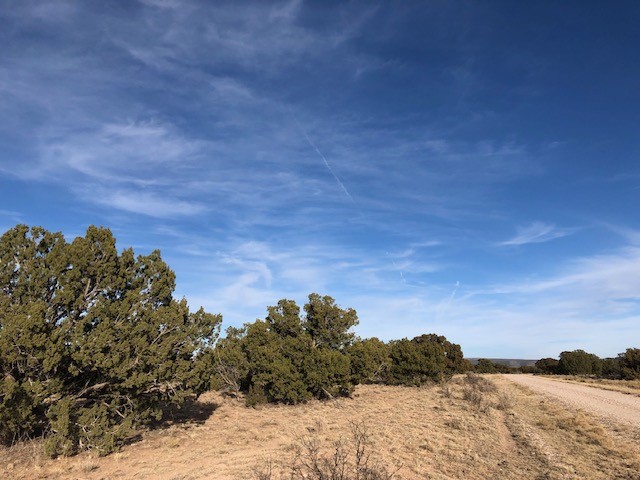 Tract 11 Anza Road