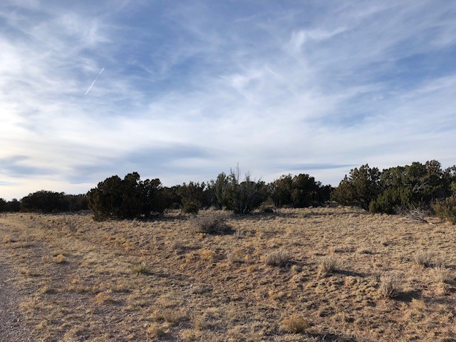 Tract 11 Anza Road