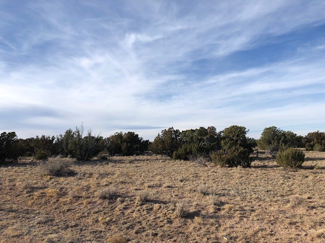 Tract 11 Anza Road