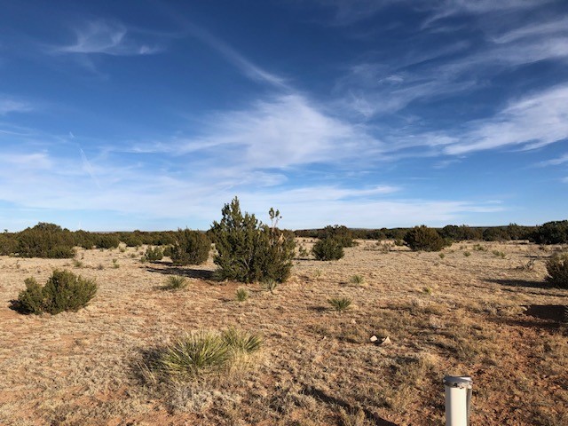 Tract 11 Anza Road
