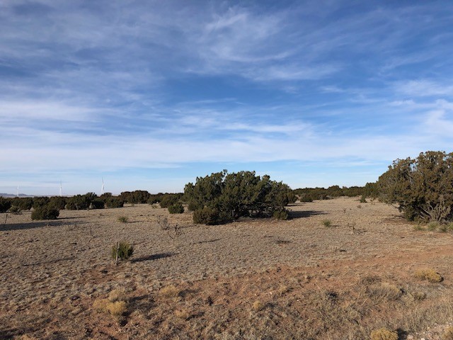 Tract 11 Anza Road