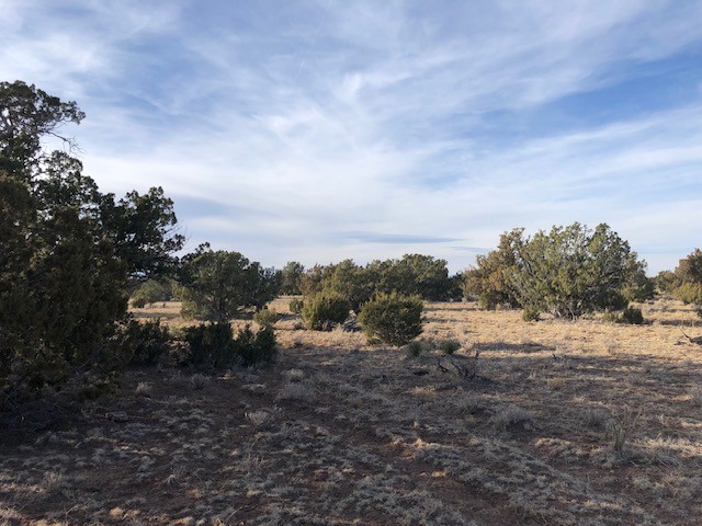 Tract 11 Anza Road