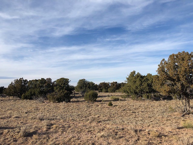 Tract 11 Anza Road