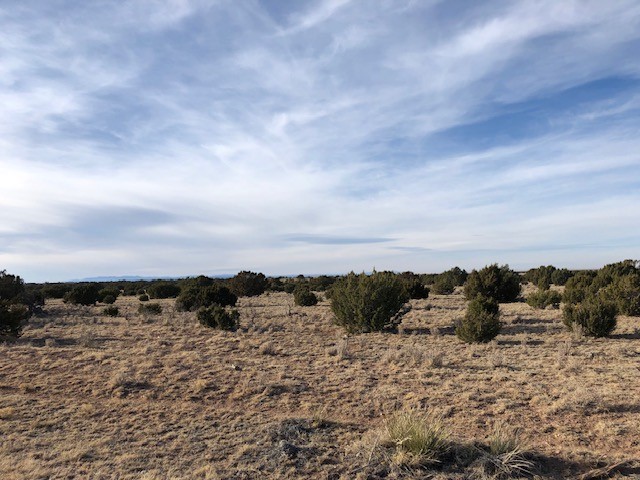 Tract 11 Anza Road