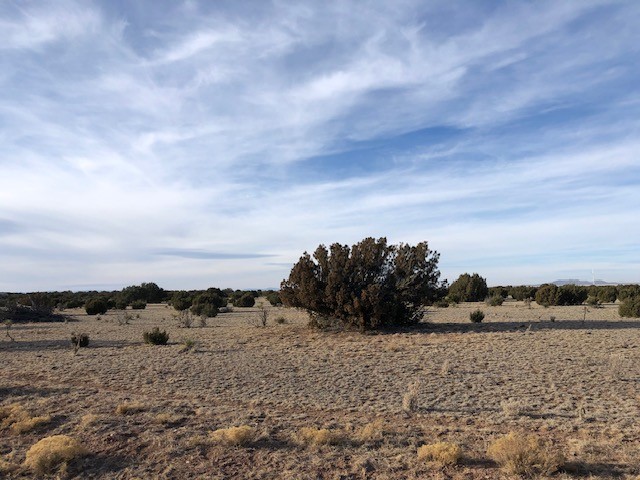 Tract 11 Anza Road