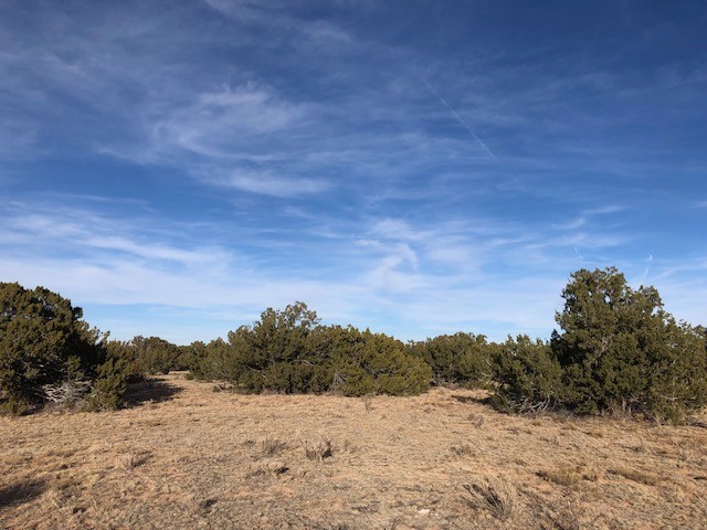 Tract 11 Anza Road