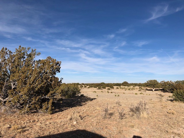 Tract 11 Anza Road