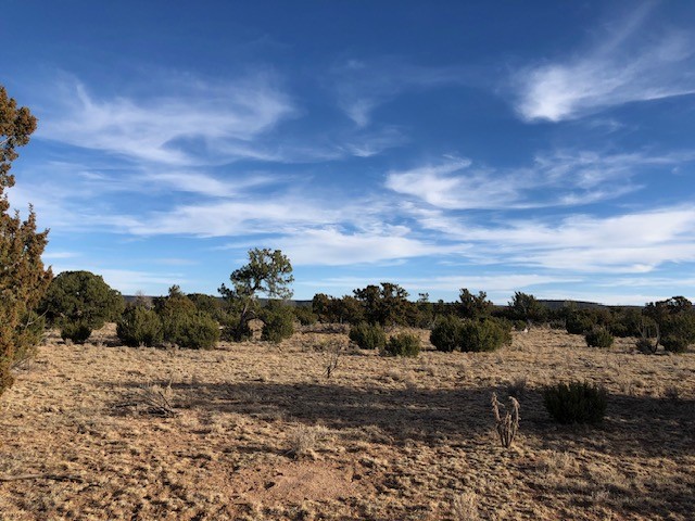 Tract 11 Anza Road