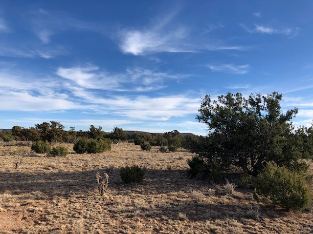 Tract 11 Anza Road