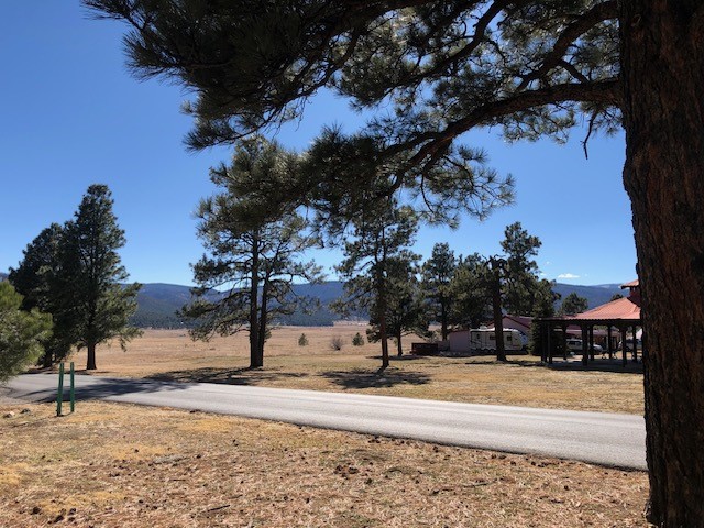 25 Pendaries Village Lane