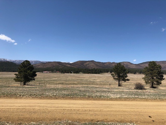 Lot 65 Patron Road