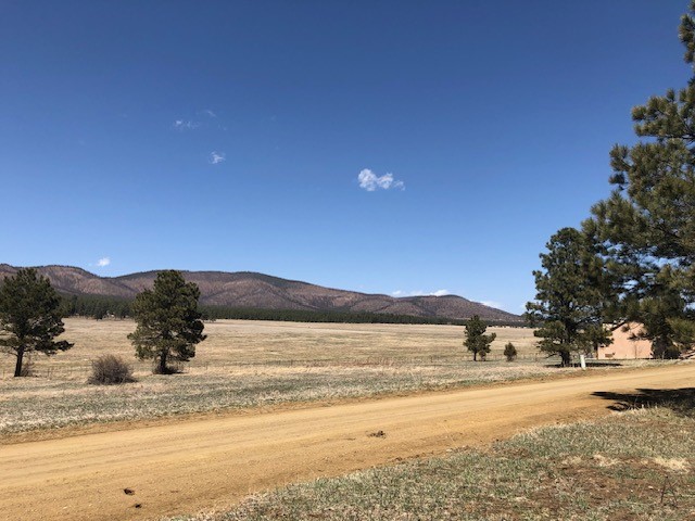 Lot 65 Patron Road