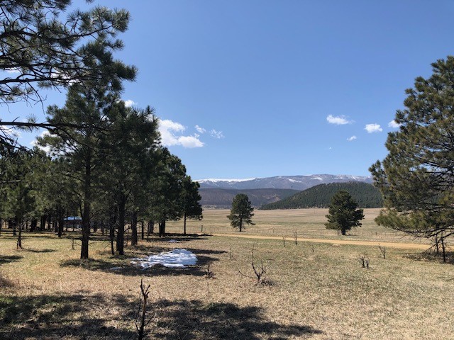 Lot 65 Patron Road