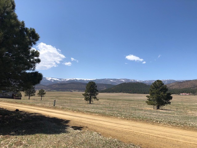 Lot 65 Patron Road