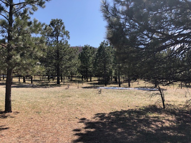 Lot 65 Patron Road