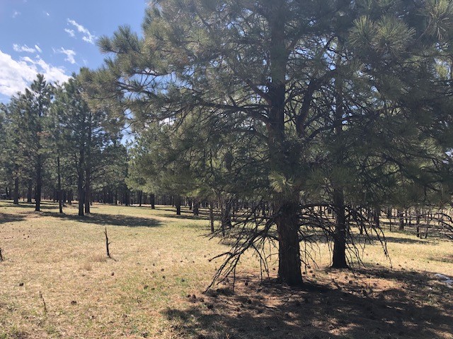 Lot 65 Patron Road