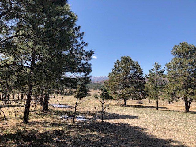 Lot 65 Patron Road