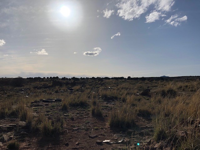 160 Acres 104