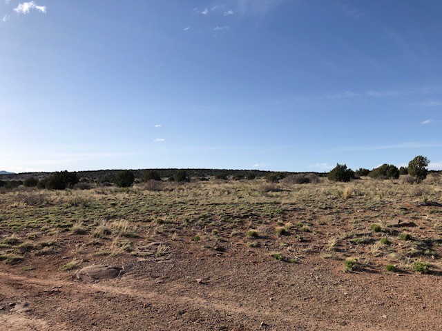 160 Acres 104